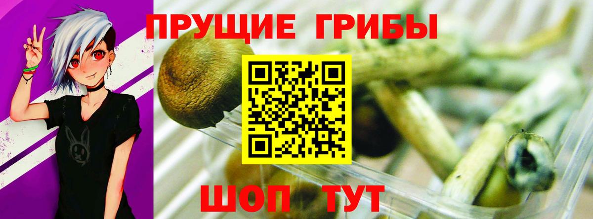 Галлюциногенные грибы Cubensis Подольск